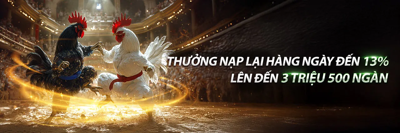 Sân đấu đá gà trực tuyến bj 99